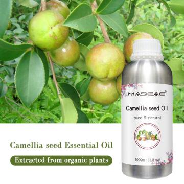 2024 Oilador de camellia orgânico para face Óleo de semente de camélia natural