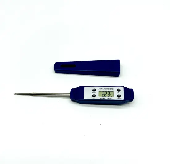 Digital Food Thermometer: Precision Cooking Aids
