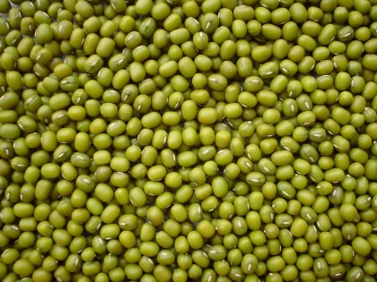 Mung Green Beans Non-GMO