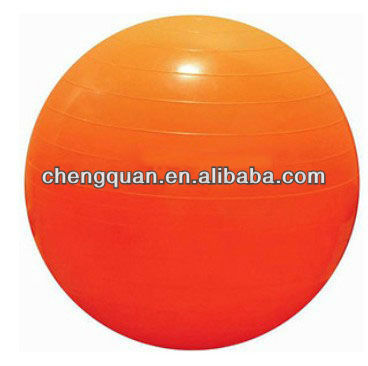 Therapy and Exercise Ball