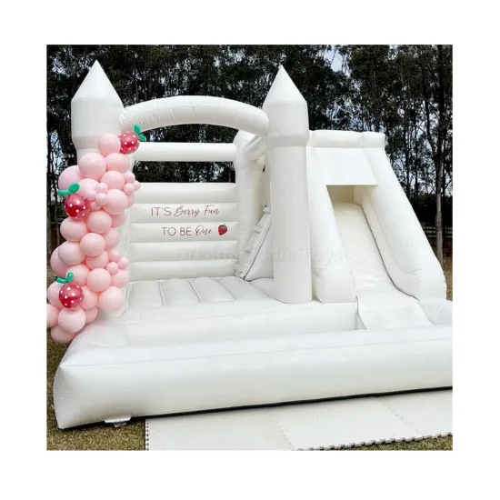 Commercial Outdoor Inflatable Bouncy Castle Combo Rental for Parties and Weddings