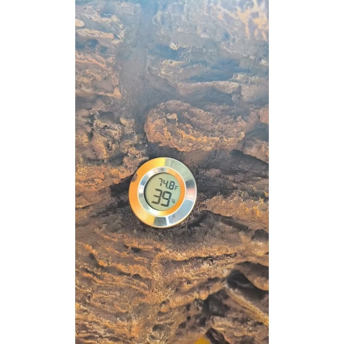 Termohrómetro digital para recintos de reptiles