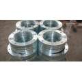 Hot Dipped Galvanized Flanges