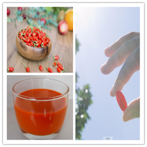 Ningxia High Quality Bio Goji Natursaft