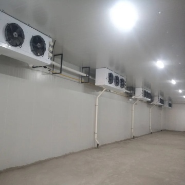 High Quality Walk-in Cooler & Cold Storage Solutions