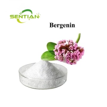 Bergenia Purpurascens Extract Bergenin 98% Powder