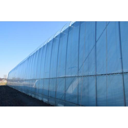 Solar Optic Greenhouse Green House For Plants Factory