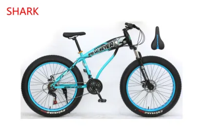 Factory wholesale snow mountain bike