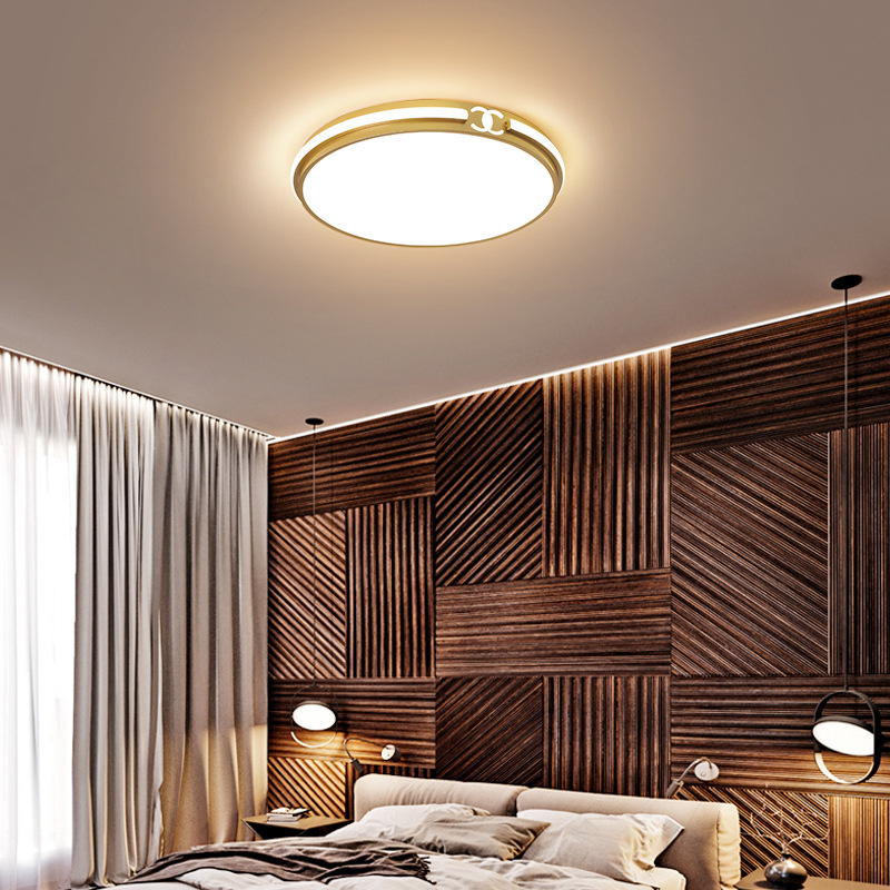 Led Small Ceiling LampofApplication Designer Pendant Lights