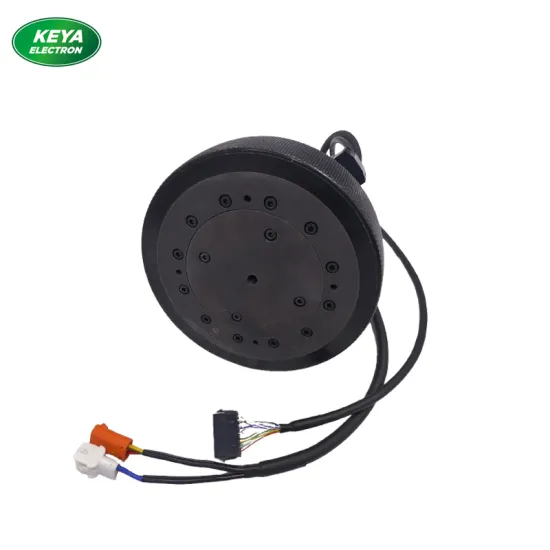 Keya DC48V 165mm/180mm Integrated Servo Wheel set Heavy Load 1500kg for AGV and Robotics