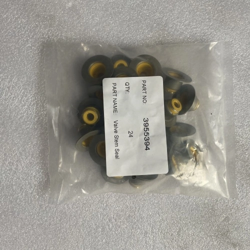 CUMMINS Stem Seal 3955394/C3955394/CU3955394 China Manufacturers ...