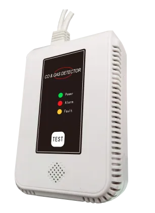 Home CO Gas Detector Alarm