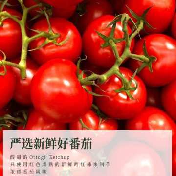 Ottogi Tomato Ketchup Sauce Classic Family Flavor