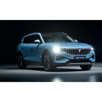 2024 Voyah Free: Super Long Range Intelligent Driving SUV - Electric Car In Stock
