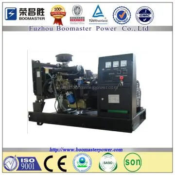 Yangdong Electric Diesel Power Generator 11kva