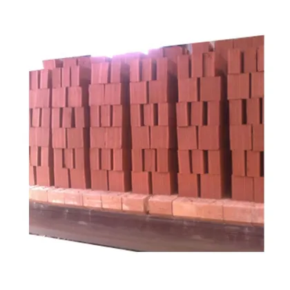 Bangladesh Modern Fired Clay Brick Tunnel Furnace Technology