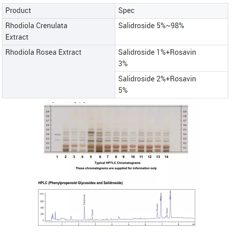 Rhodiola Crenulata Extract