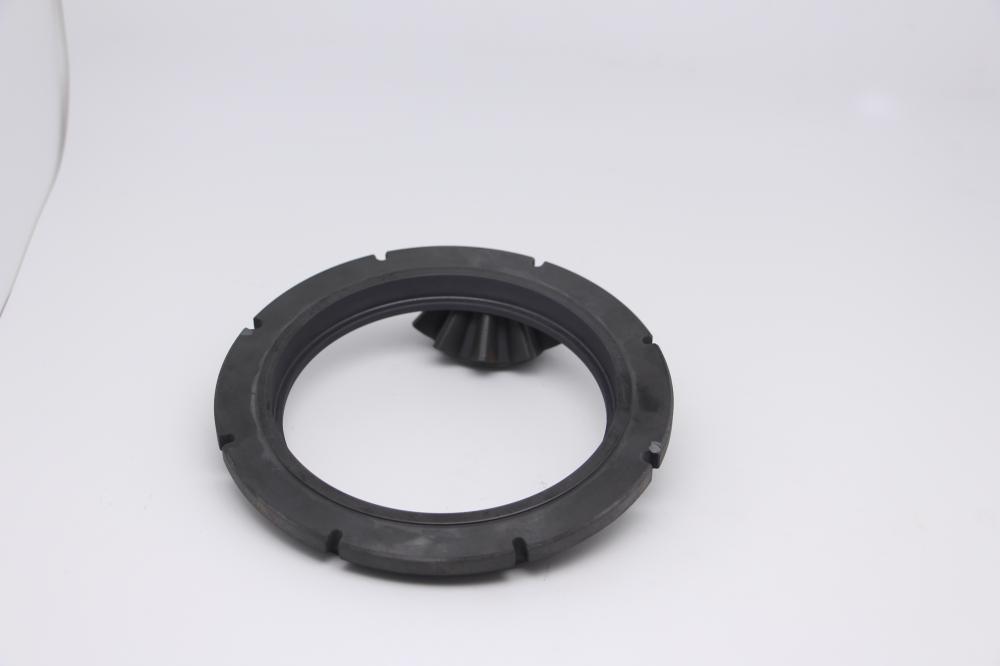 Graphite Sealing Ring4