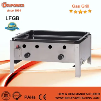 LFGB CE Approval 2-Burner Gas BBQ Grill