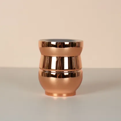 Stainless Steel Double Wall Gourd Yerba Mate Cup with Mate Bombilla Straw