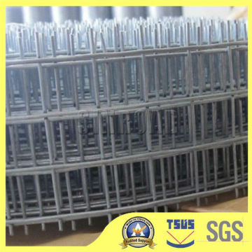 Welded Wire Mesh