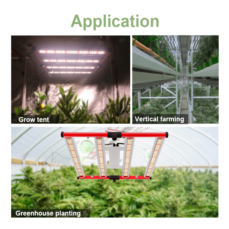 Invernaderos agrícolas LED Grow Light Full Spectrum 240W