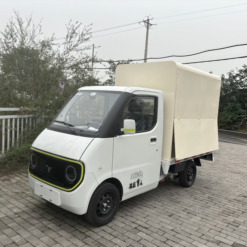D02 mobile sales of electric vehicles