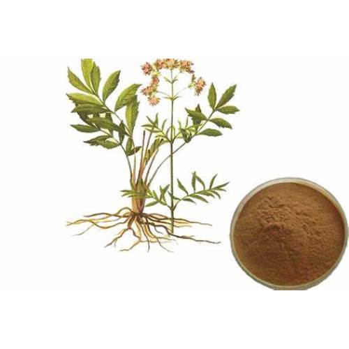 High Quality Valerian Root Extract