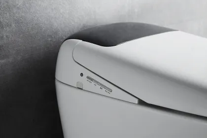 Wall-Hung Hidden Bathroom Concealed Toilet Tanks with Dual-Flush