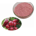 Price fruit Extract Pure Wild Cherry Extract Powder