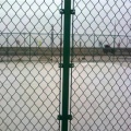 Powder coated chain link fence for school playground