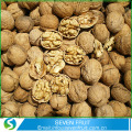 RAW-bearbetning Type och Snack använda hela valnötter med skal
