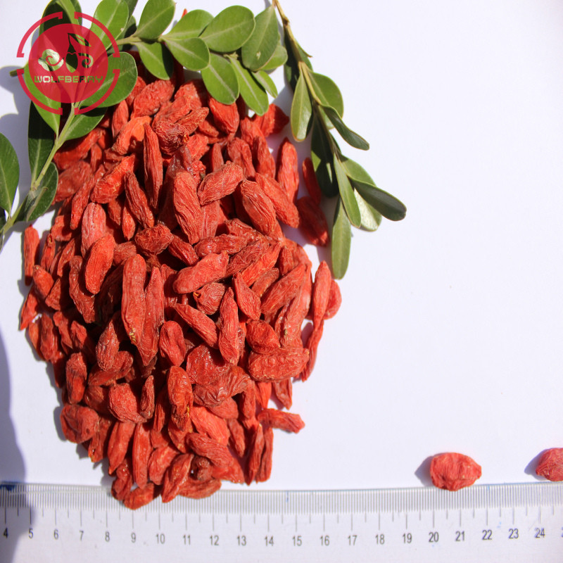 Certificado alto grado bajo pesticida Goji Bayas