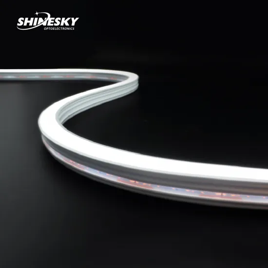 Waterproof IP44 DC24V 1220 RGB/RGBW Recessed Silicone Neon Strip for Indoor Installation Decor