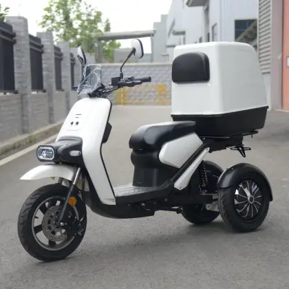 S3 Fat Tire Electric Tricycle
