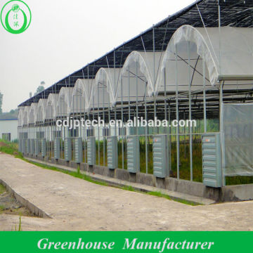 Large Green House Supplliers In China