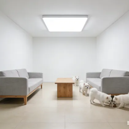 Smart control LED ceiling light