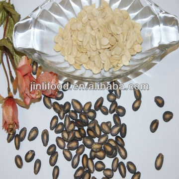 Melon seeds