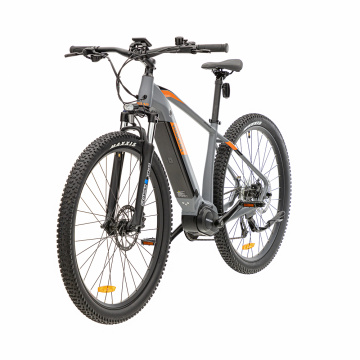 Hermess 29inch Green Power Adult Integrated Electric Mountain Bike met centrale motor