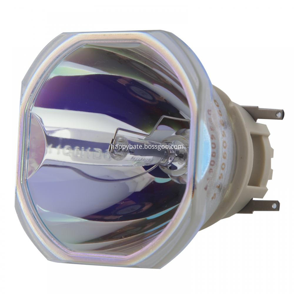 DT02081 bulb lamp