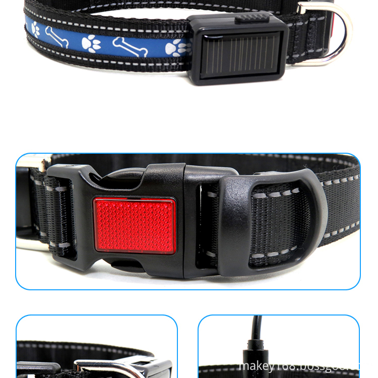 Dog Collars That Light Up