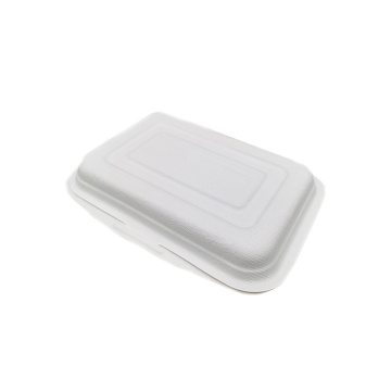 Einweg -Bagasse -Tischgeschirr Food Container Lunchbox