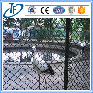 wire mesh fence,used chain link fence