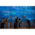 Aquariums de tunnel en verre acrylique sous-marin