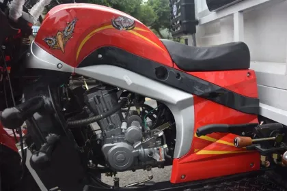 2018 ZONGSHEN Tsunami Customization Model 200cc/250cc/300cc Cargo Tricycle Agricultural Tipper Motorcycle Lift