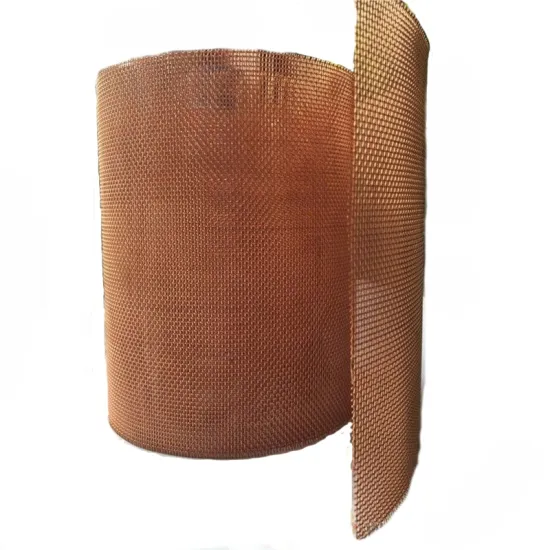 10 Mesh Sizes of Phosphor Bronze Wire Mesh: 50 to 200