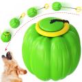 yo-yo pinball training toy for dog