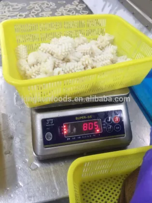 Frozen Giant Squid Wing Pinapple Cut Flower