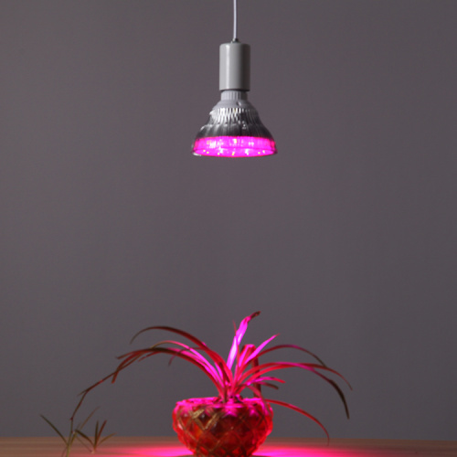 LED Plant Growing Light E27 36W