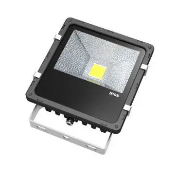 COB 30W LED Flood lighting